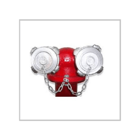 Họng tiếp nước chữa cháy 2 cửa D65